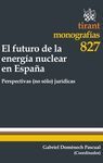 EL FUTURO DE LA ENERG�A NUCLEAR EN ESPA�A