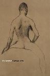 PICASSO CABALLOS