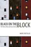 BLACK ON THE BLOCK: THE POLITICS OF RACE AND CLASS IN THE CITY.