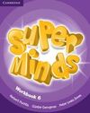 SUPER MINDS 6. WORKBOOK