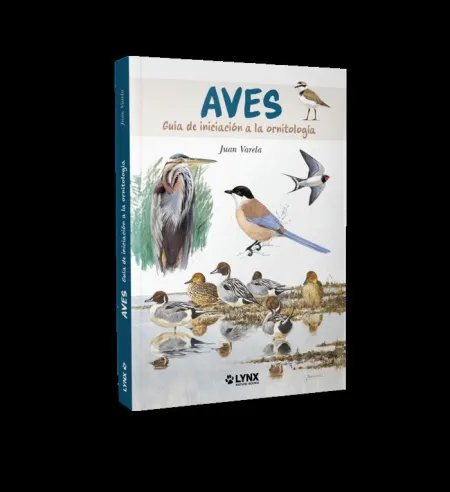 Aves