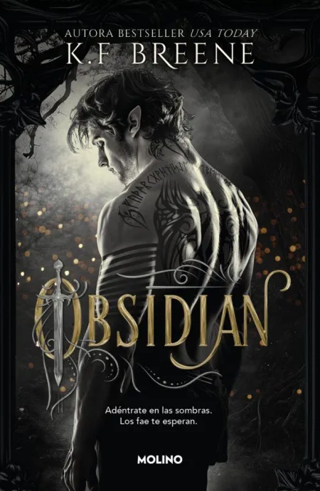 Fae de las Sombras, los 1. Obsidian