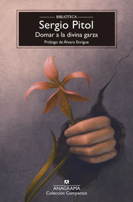 Domar a la Divina Garza - Bsp