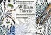 COLOURING BOOK WILLIAM MORRIS
