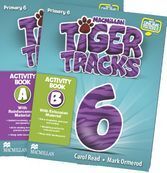 TIGER 6 - ACTIVITY B PACK