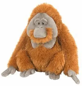 Peluche Ck Orangutan Macho 12