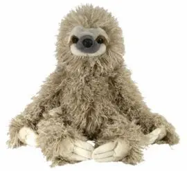 Peluche Ck Perezoso de Tres Dedos 12