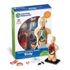 Juego Cuerpo Humano Anatomico