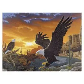 Pintar por Numeros 13 Piezas. Aguilas