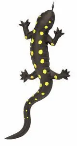 Juguete de Goma 25Cm Salamandra Amarilla