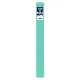 Rollo 50X250 (10) Canson Crespon Stand (40G)32G Ve