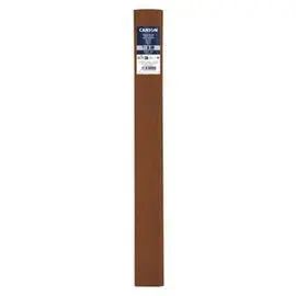 Rollo 50X250 (10) Canson Crespon Stand (40G) 32G C