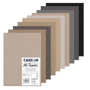 Pack 21X29,7 10H Mi-Teintes 60 Abeja 160G Tonos G