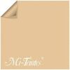 PAPEL MI-TEINTES 50X65 160GRS LICHEN PASTEL