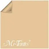 Papel Mi-Teintes 50X65 160Grs Lichen Pastel