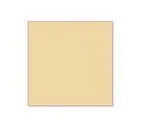 Cartulina Guarro 50X65 Color Carne
