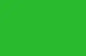 Cartulina Guarro 50X65 Verde Abeto