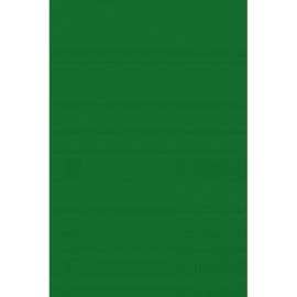 CARTULINA GUARRO 50X65 VERDE AMAZONAS