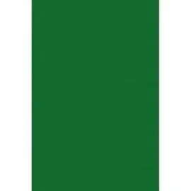 Cartulina Guarro 50X65 Verde Amazonas