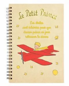 Cuaderno Anillas A5 el Principito Avion Relieve y
