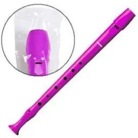 Flauta Hohner 9508 Rosa Fucsia Funda Verde y Trans