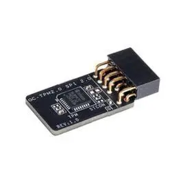 Modulo Tpm Compatible con Placas Gigabyte con Cone