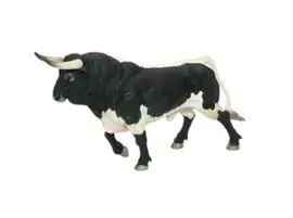 Toro Bravo Aparejado Trotando