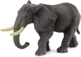 Elefante Africano