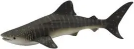Tiburon Ballena