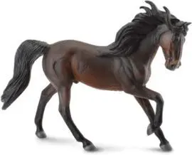 Semental Andaluz Castaño Oscuro