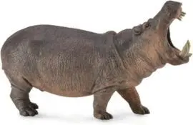 Hipopotamo
