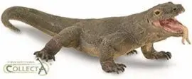 Dragon de Komodo