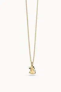 Collar Chocli Pato 36-43 cm.