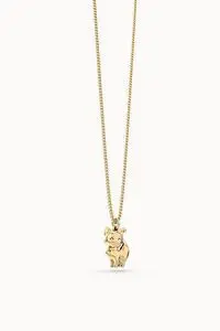 Collar Chocli Gato 36-43 cm.