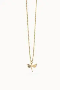 Collar Chocli Libelula 41-48 cm.