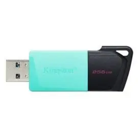 Memoria Usb 3. 2 Kingston 256Gb Datatraveler Dtxm T