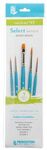 SET 5 PINCELES PRINCETON SELECT SINTETICO VALUE SE