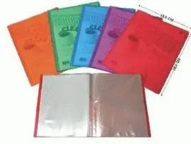 Carpeta 20 Fundas A4 Pp 310318
