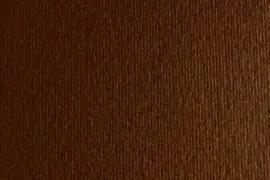 Cartulina Sadipal Liso/Rugoso 50X70 Marron