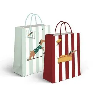 Bolsa Papel M 23 X 10 X 18Cm Teckel Surtidas