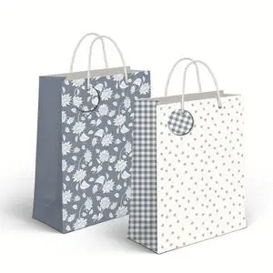 Bolsa Papel L 26 X 10 X 32Cm Grey Surtidas