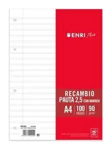 Recambio Enri 90Gr Pauta 2,5