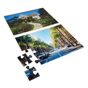 Puzzles The World In Pieces Mind Move
