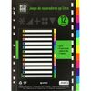 JUEGO SEPARADORES A4 12 POSICIONES BITS BOBS FLUOR