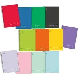 Bloc Papyrus Uniclasic Fº Pp 80 H 90Grs Pauta 3,5