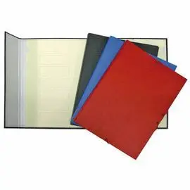Clasificador Solapa 12 Separador Forrado Pokf Negr