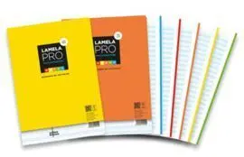 Recambio A4 Cuadro 3Mm Lamela-Pro Banda 5 Colores