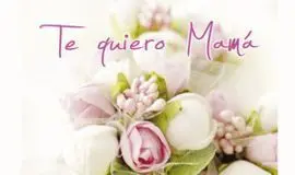 Mini Card te Quiero Mama