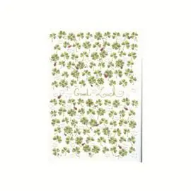 Notebook Turnowsky Treboles
