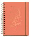 AGENDA ESCOLAR CARTON DO MORE 15X21,3CM SV CAT/ING
